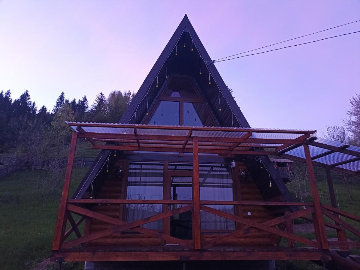 Sadyba Lileya Верховина Экстерьер фото