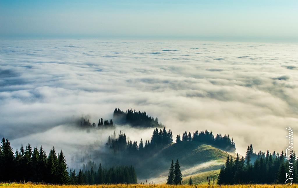 Sadyba Lileya Верховина Экстерьер фото